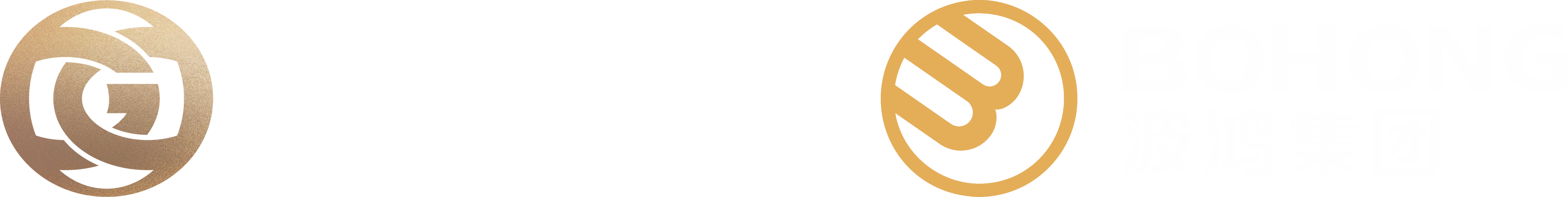 波鴻集團(tuán)