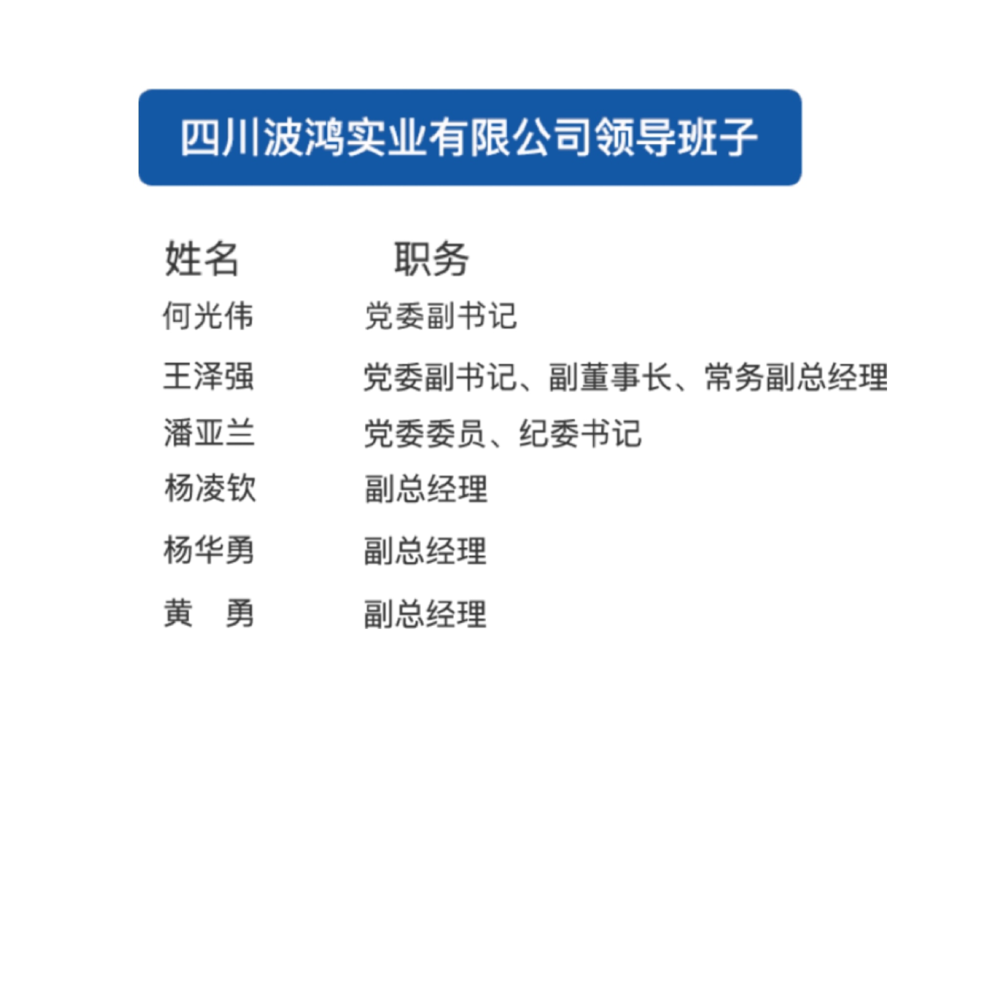 領(lǐng)導(dǎo)班子結(jié)構(gòu)蓋板.jpg